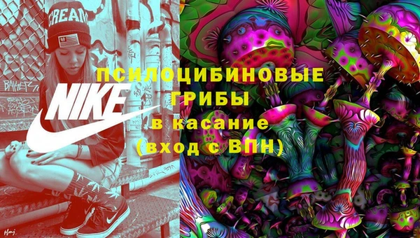 дживик Киренск