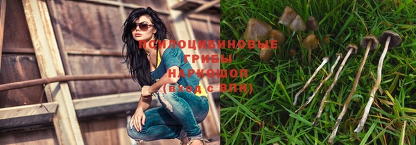 крисы Киреевск