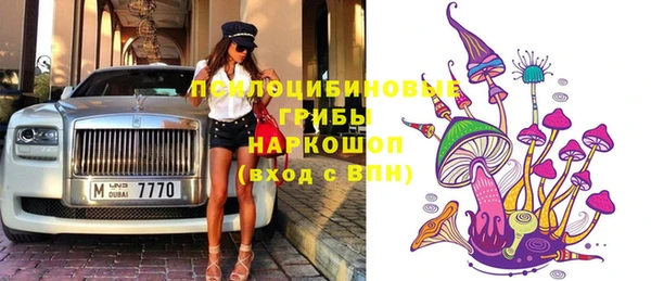 дживик Киренск