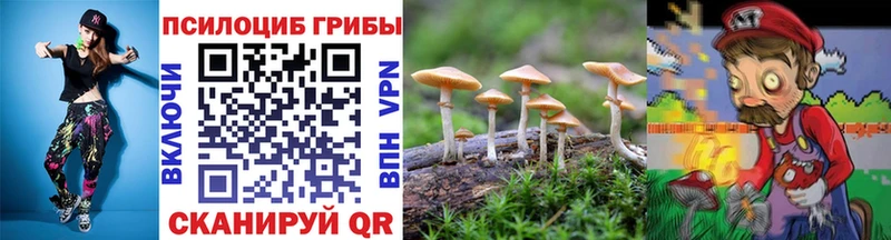 Псилоцибиновые грибы MAGIC MUSHROOMS  дарк нет как зайти  Новошахтинск  гидра вход 